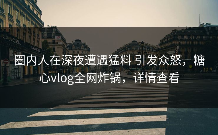 圈内人在深夜遭遇猛料 引发众怒，糖心vlog全网炸锅，详情查看