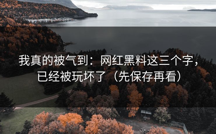 我真的被气到：网红黑料这三个字，已经被玩坏了（先保存再看）